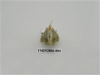 藏品(尺蛾420)的圖片